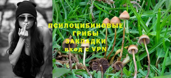 ГАЛЛЮЦИНОГЕННЫЕ ГРИБЫ Балахна