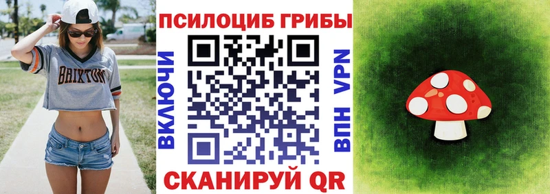 darknet какой сайт  Котово  Галлюциногенные грибы MAGIC MUSHROOMS 